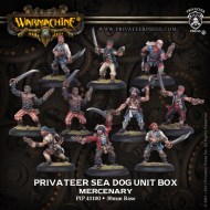 privateer sea dog mercenary privateer unit